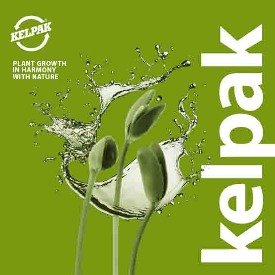 kelpak brochure