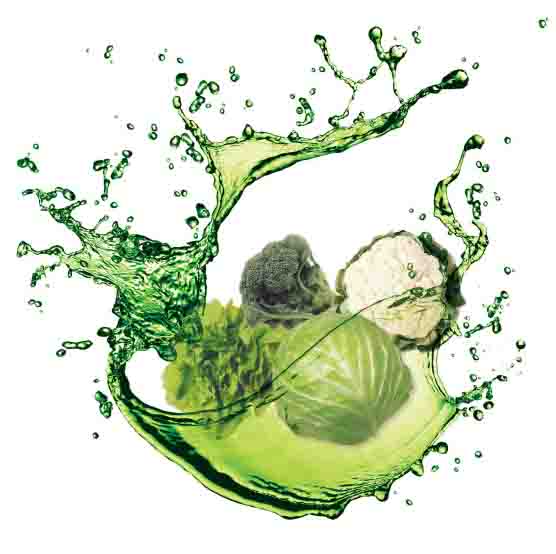 Kelpak on leafy vegetables